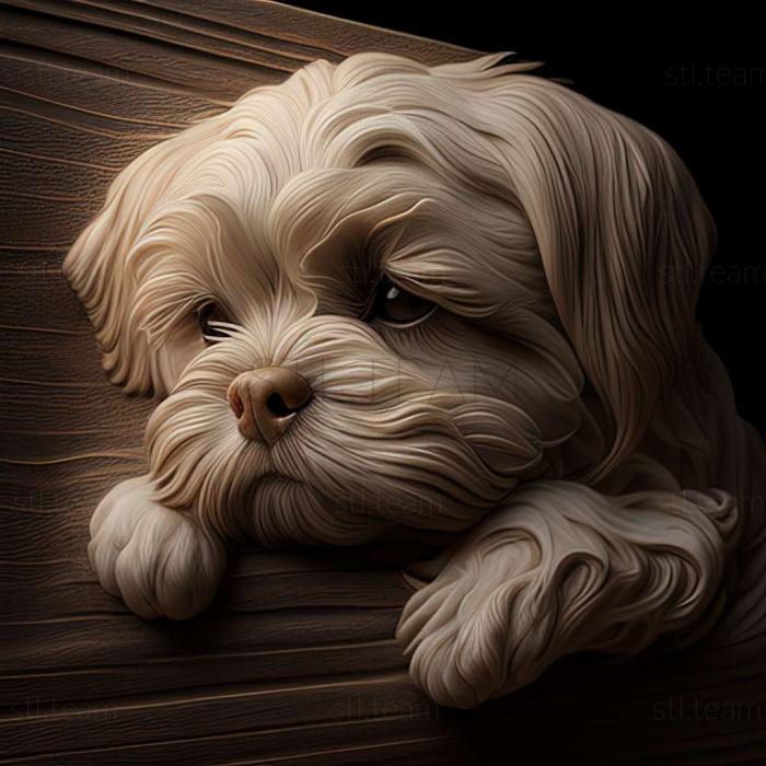 3D model Maltese Lapdog dog (STL)